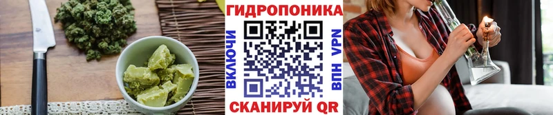 дарк нет формула  купить закладку  MEGA ссылки  Вилючинск  Еда ТГК марихуана 