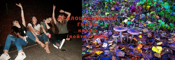 прущие крисы Беломорск