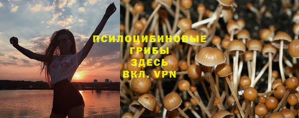 соль курить ск Белокуриха