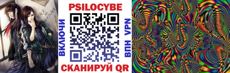OMG ссылки  Вилючинск  Псилоцибиновые грибы MAGIC MUSHROOMS 